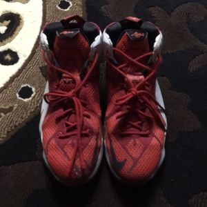 Lebron 12 Hat Of Lion